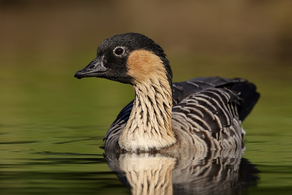 View: Intermediate Wildlife Photography Workshop